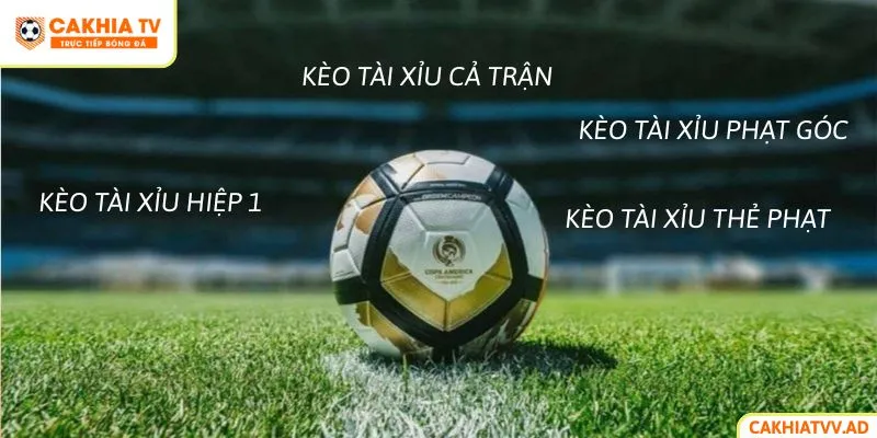 Các Loại Kèo Tài Xỉu Phổ Biến